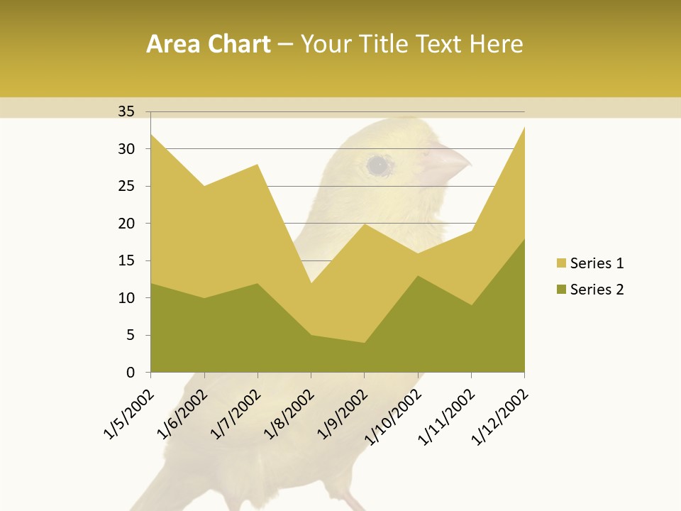 Fauna Exclusive Aves PowerPoint Template