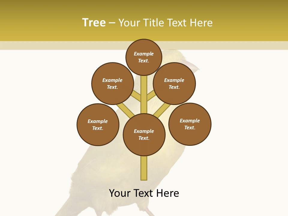 Fauna Exclusive Aves PowerPoint Template