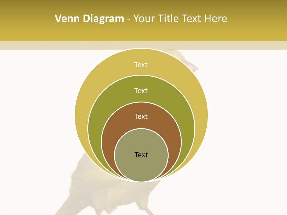 Fauna Exclusive Aves PowerPoint Template