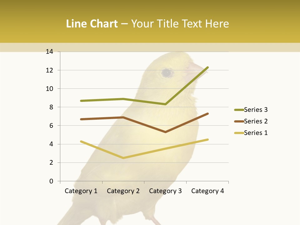 Fauna Exclusive Aves PowerPoint Template