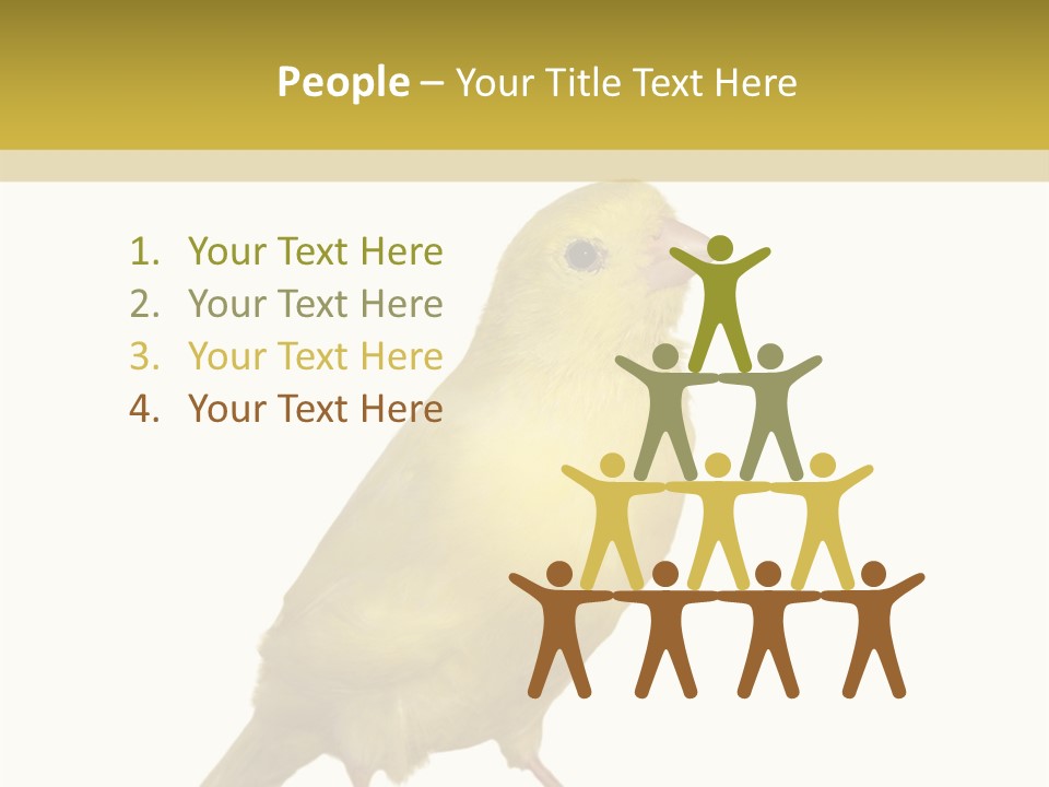 Fauna Exclusive Aves PowerPoint Template