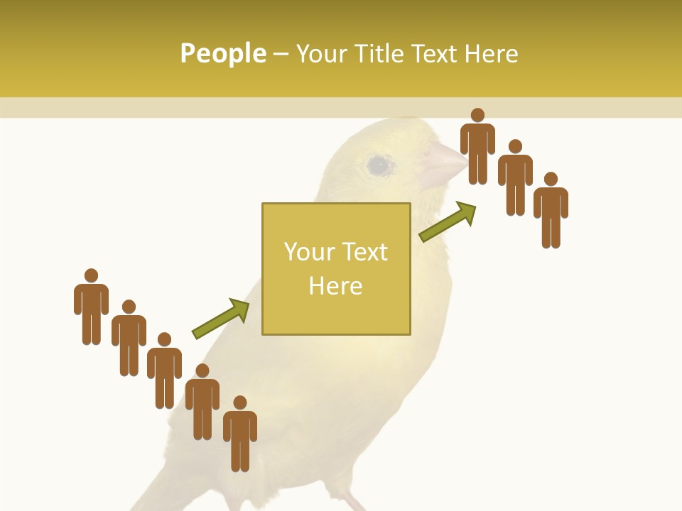 Fauna Exclusive Aves PowerPoint Template