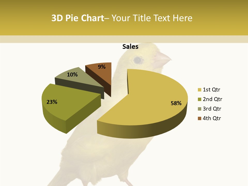 Fauna Exclusive Aves PowerPoint Template