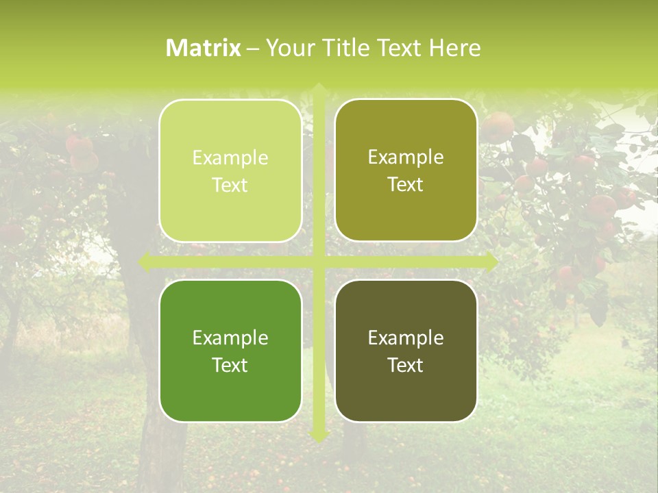 Day Red Image PowerPoint Template