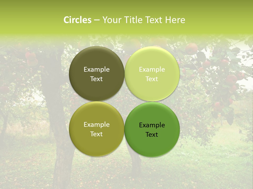 Day Red Image PowerPoint Template