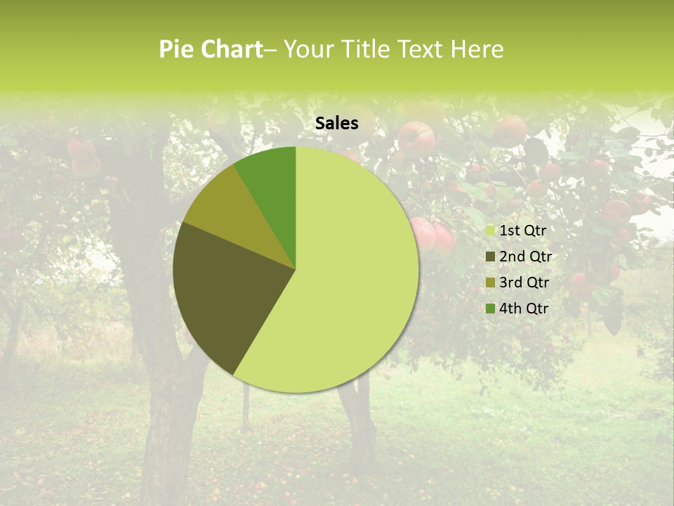 Day Red Image PowerPoint Template