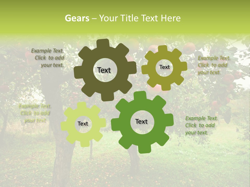 Day Red Image PowerPoint Template