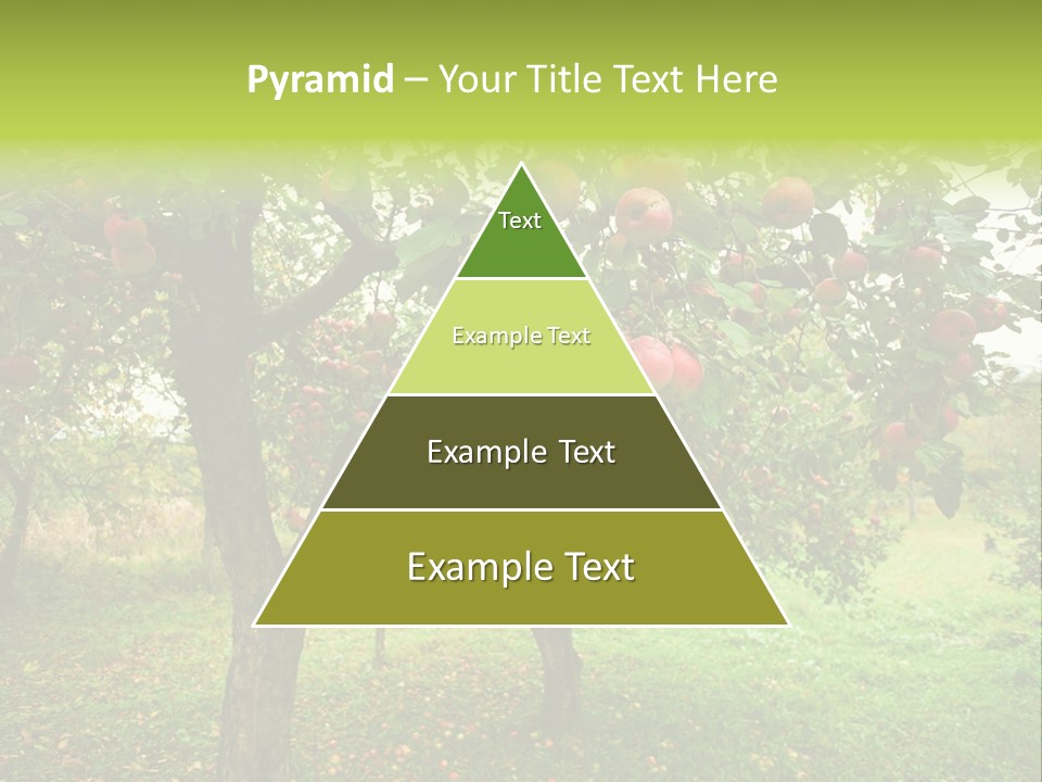 Day Red Image PowerPoint Template