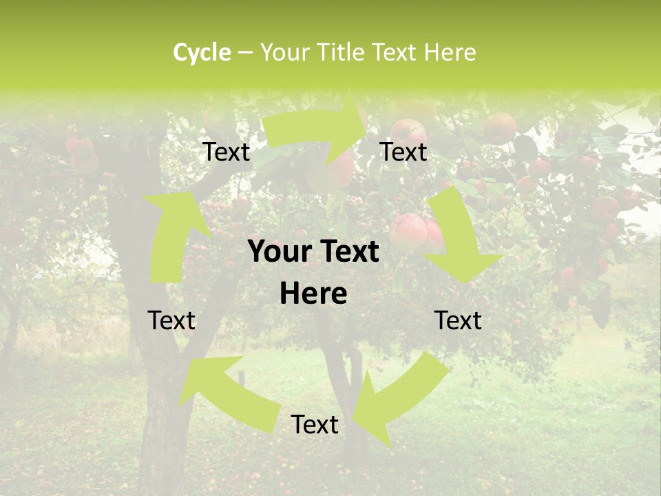 Day Red Image PowerPoint Template