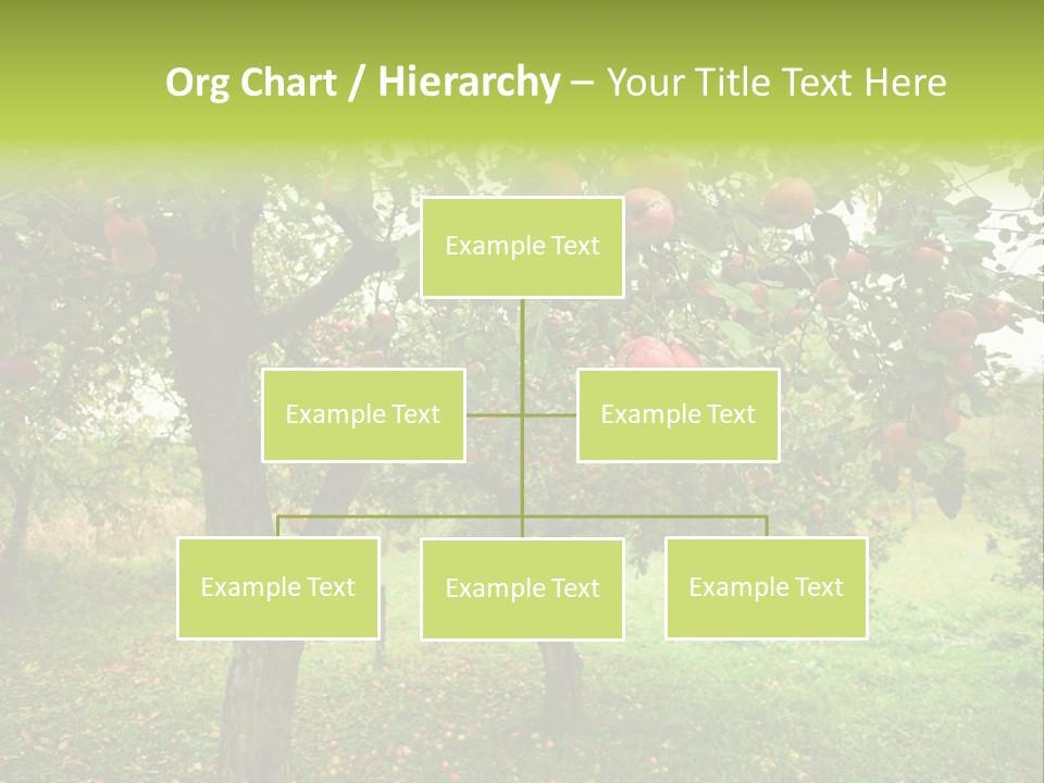 Day Red Image PowerPoint Template