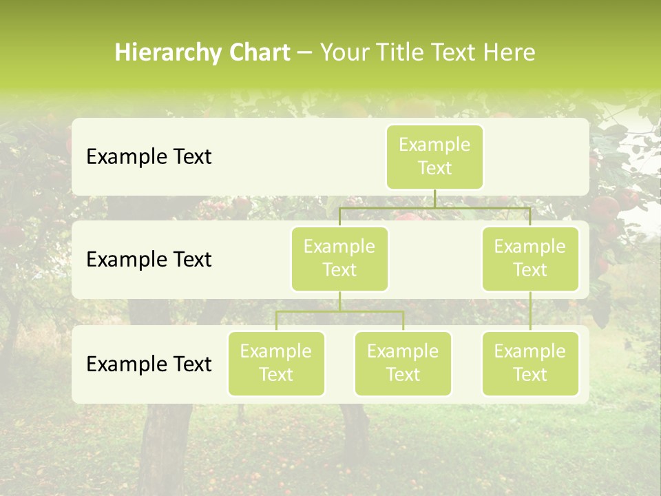 Day Red Image PowerPoint Template