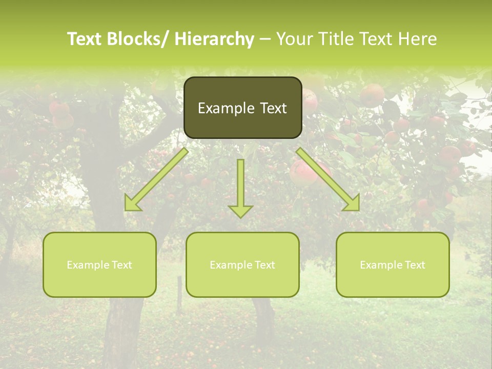 Day Red Image PowerPoint Template