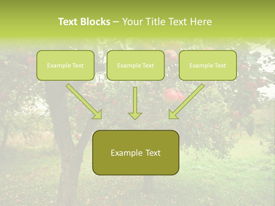 Day Red Image PowerPoint Template