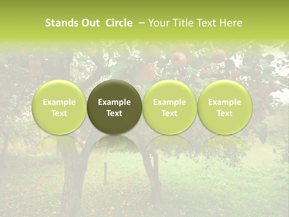 Day Red Image PowerPoint Template