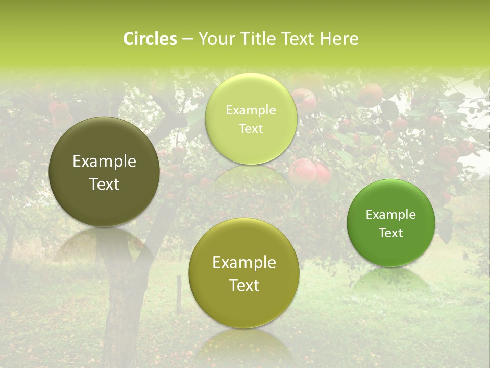 Day Red Image PowerPoint Template