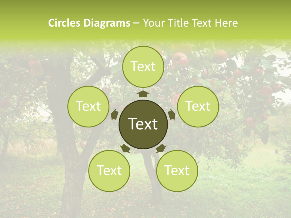 Day Red Image PowerPoint Template