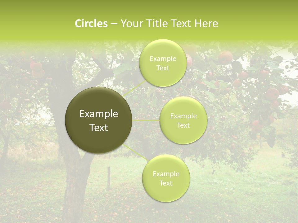 Day Red Image PowerPoint Template