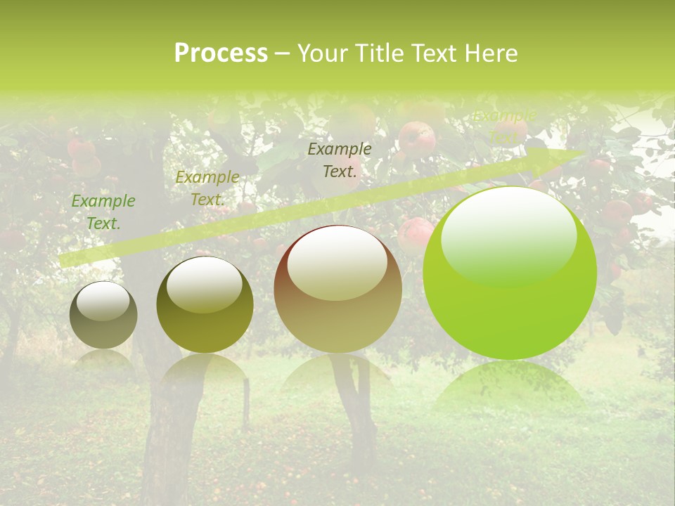 Day Red Image PowerPoint Template