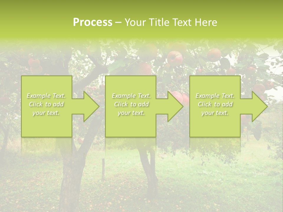 Day Red Image PowerPoint Template