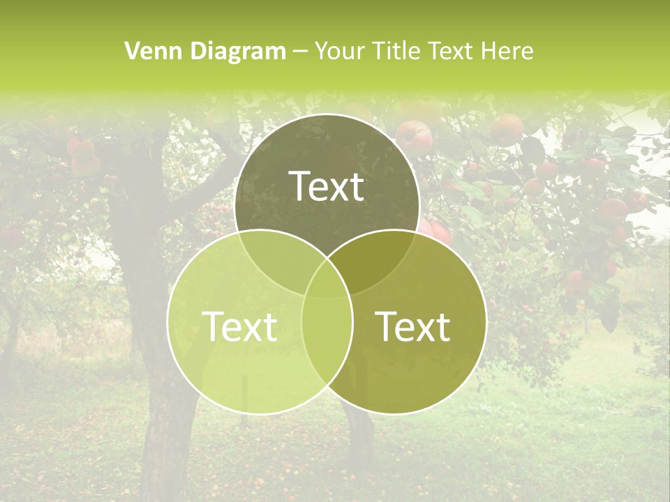 Day Red Image PowerPoint Template