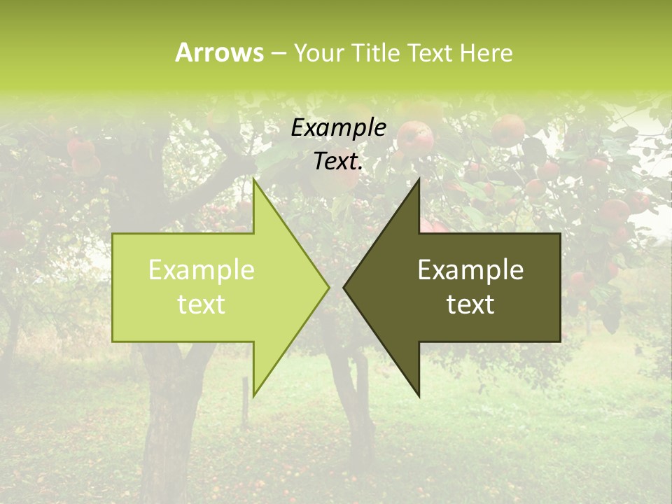 Day Red Image PowerPoint Template