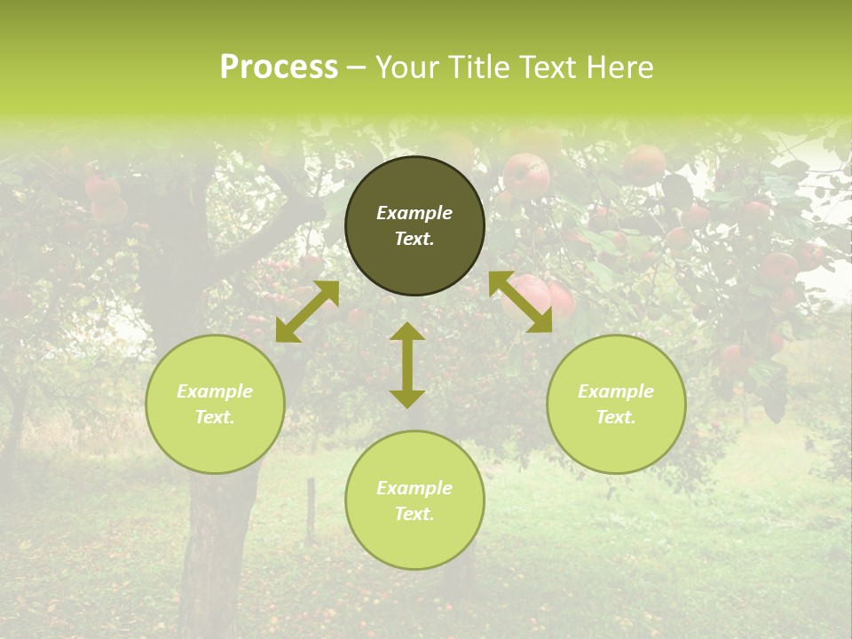 Day Red Image PowerPoint Template