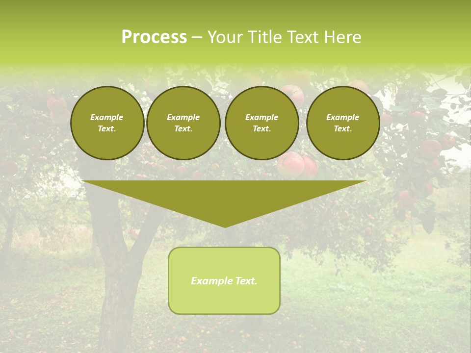 Day Red Image PowerPoint Template