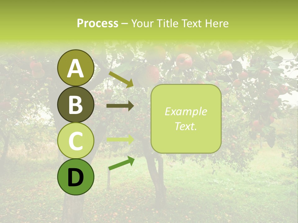 Day Red Image PowerPoint Template