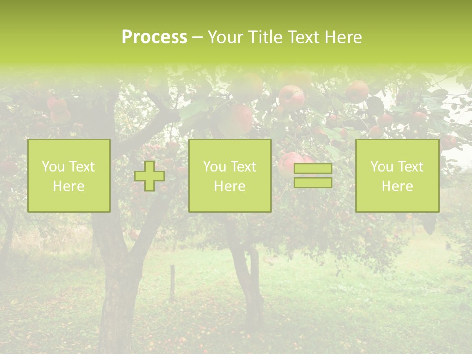 Day Red Image PowerPoint Template