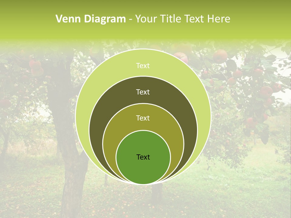 Day Red Image PowerPoint Template