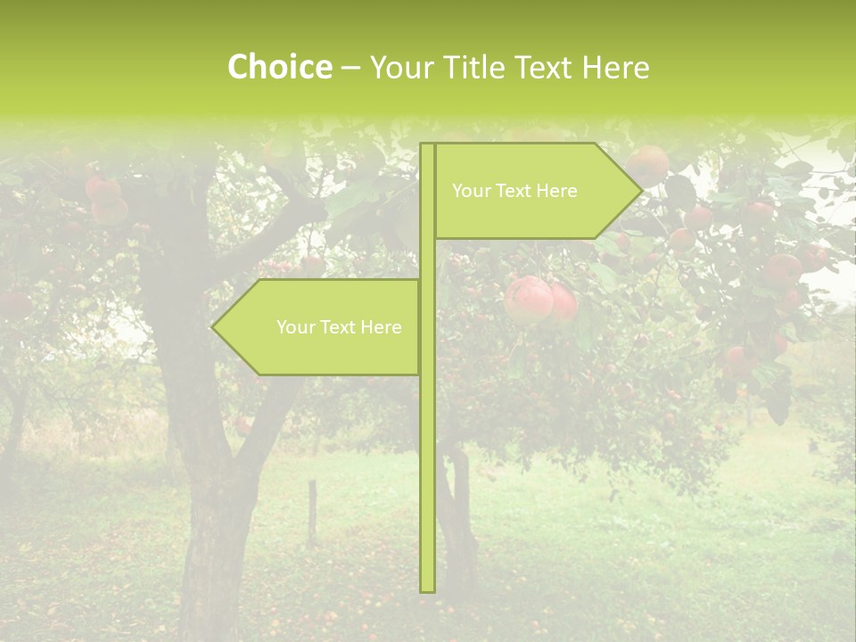 Day Red Image PowerPoint Template