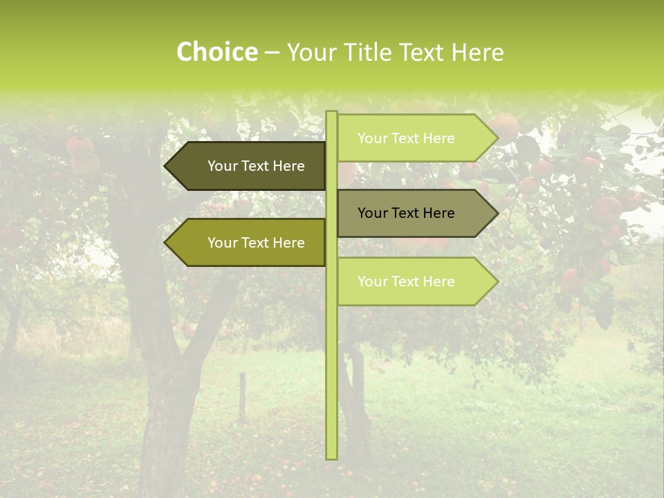 Day Red Image PowerPoint Template