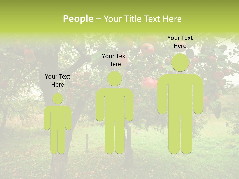 Day Red Image PowerPoint Template