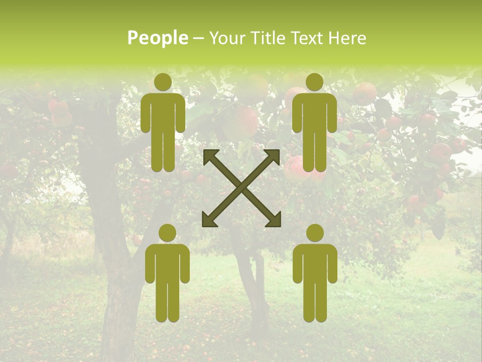 Day Red Image PowerPoint Template