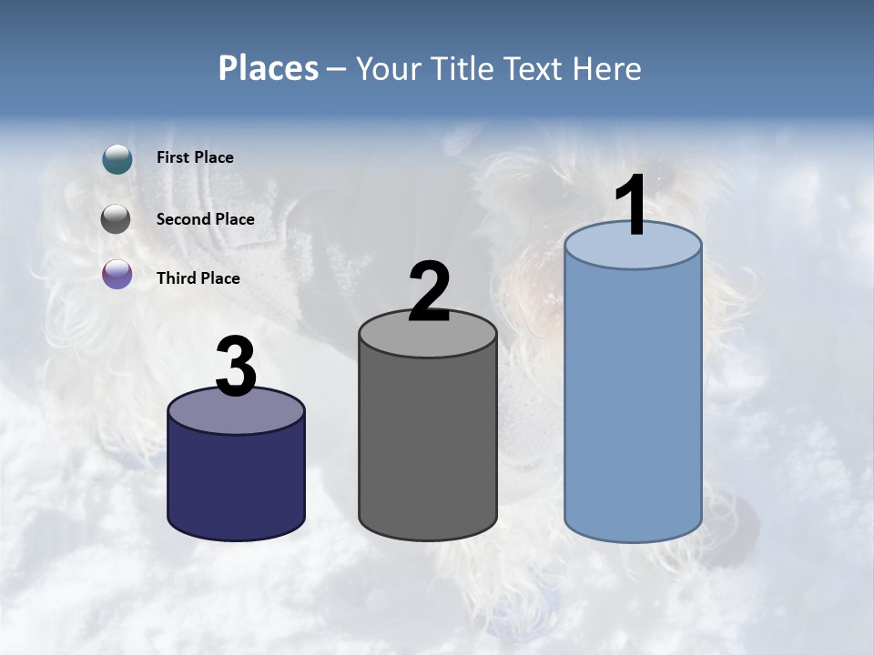 Schnauzer Ears Boot PowerPoint Template