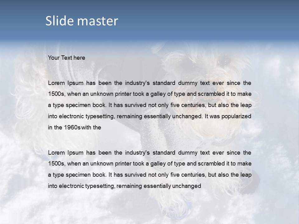 Schnauzer Ears Boot PowerPoint Template