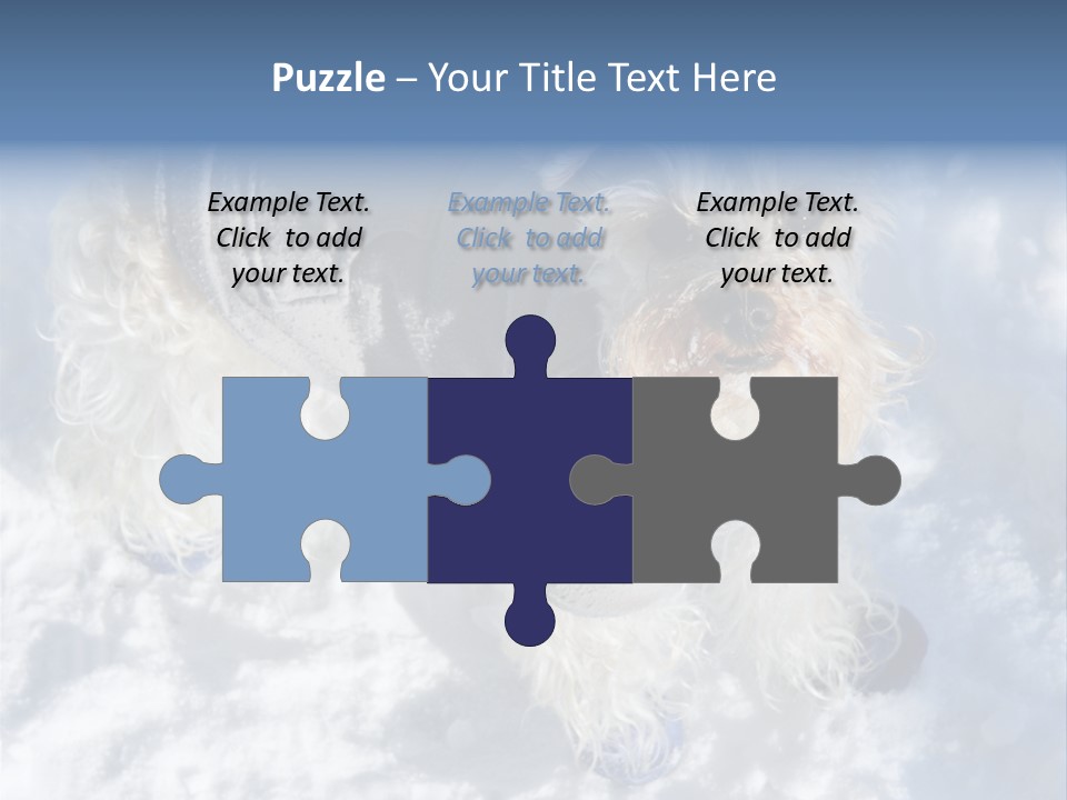 Schnauzer Ears Boot PowerPoint Template