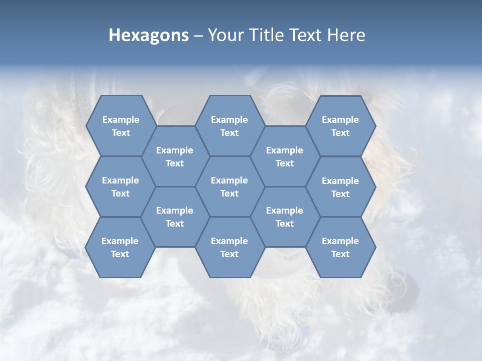 Schnauzer Ears Boot PowerPoint Template