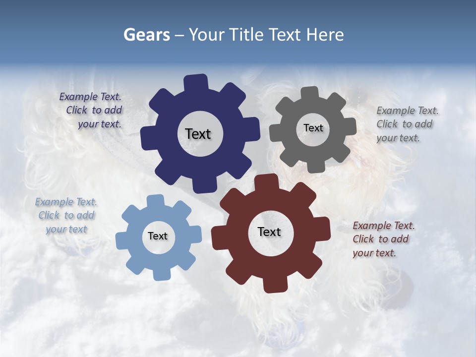 Schnauzer Ears Boot PowerPoint Template