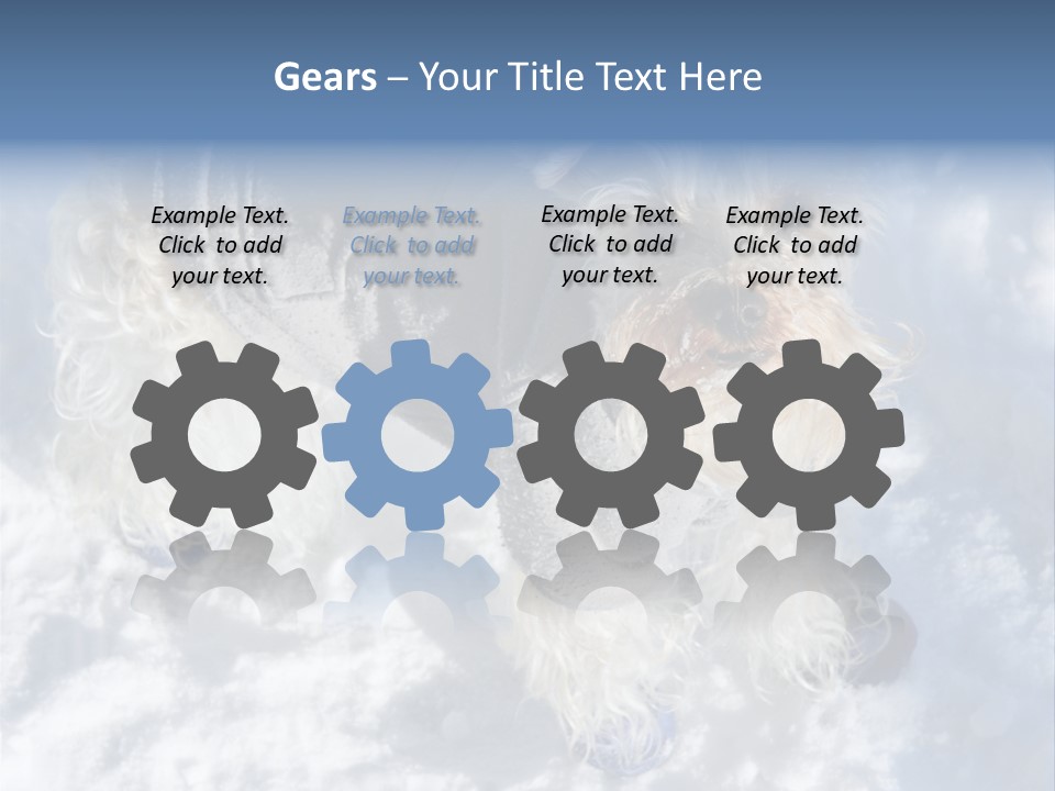 Schnauzer Ears Boot PowerPoint Template