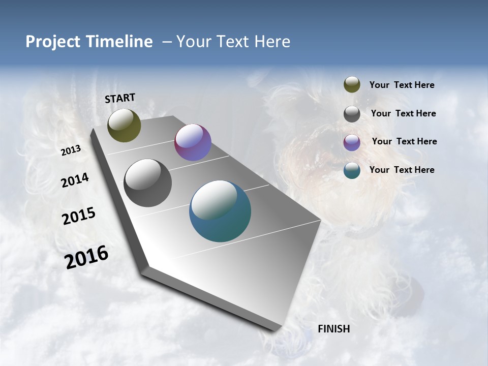 Schnauzer Ears Boot PowerPoint Template