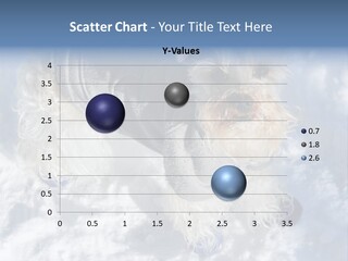 Schnauzer Ears Boot PowerPoint Template