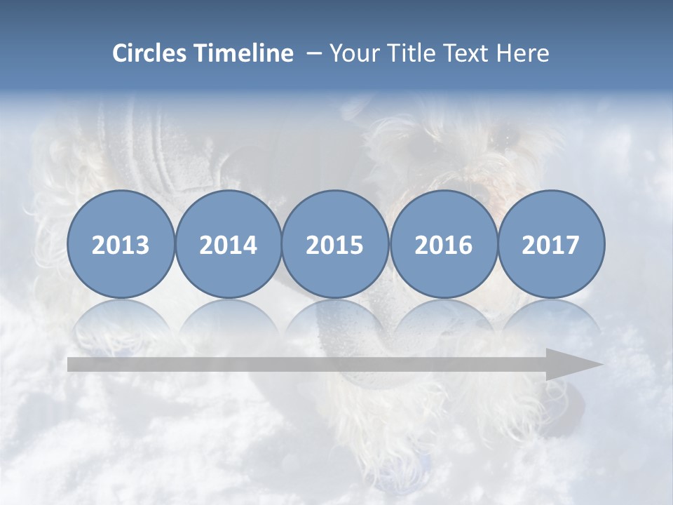 Schnauzer Ears Boot PowerPoint Template