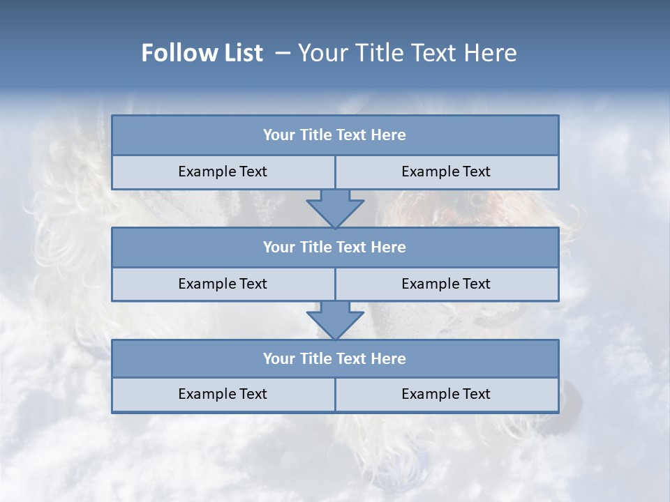 Schnauzer Ears Boot PowerPoint Template