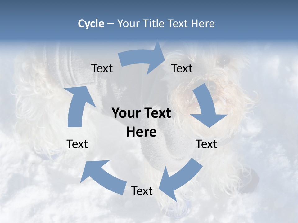 Schnauzer Ears Boot PowerPoint Template