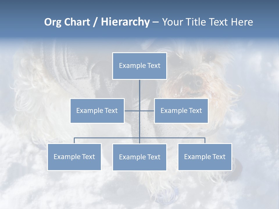 Schnauzer Ears Boot PowerPoint Template