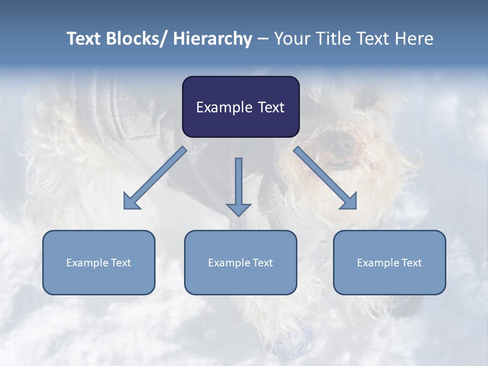 Schnauzer Ears Boot PowerPoint Template