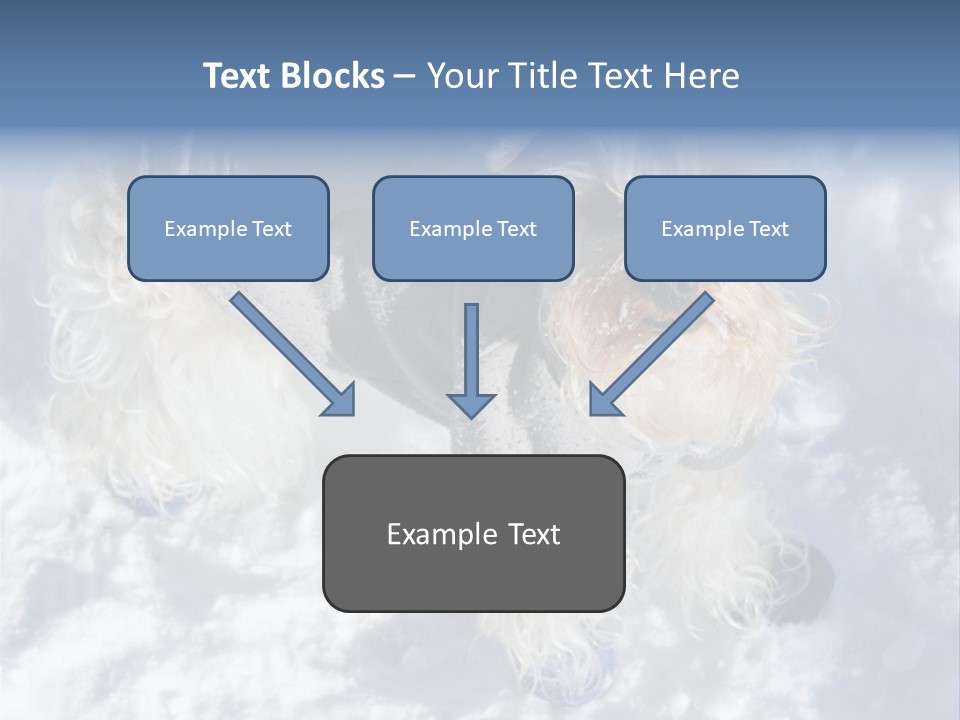 Schnauzer Ears Boot PowerPoint Template