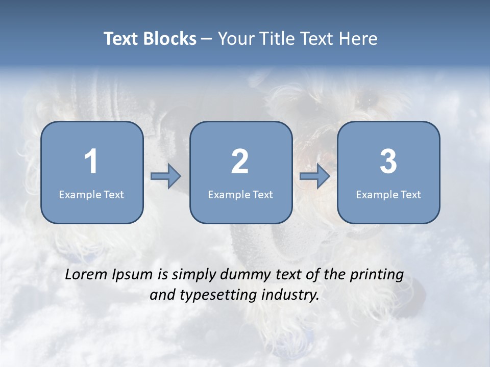 Schnauzer Ears Boot PowerPoint Template