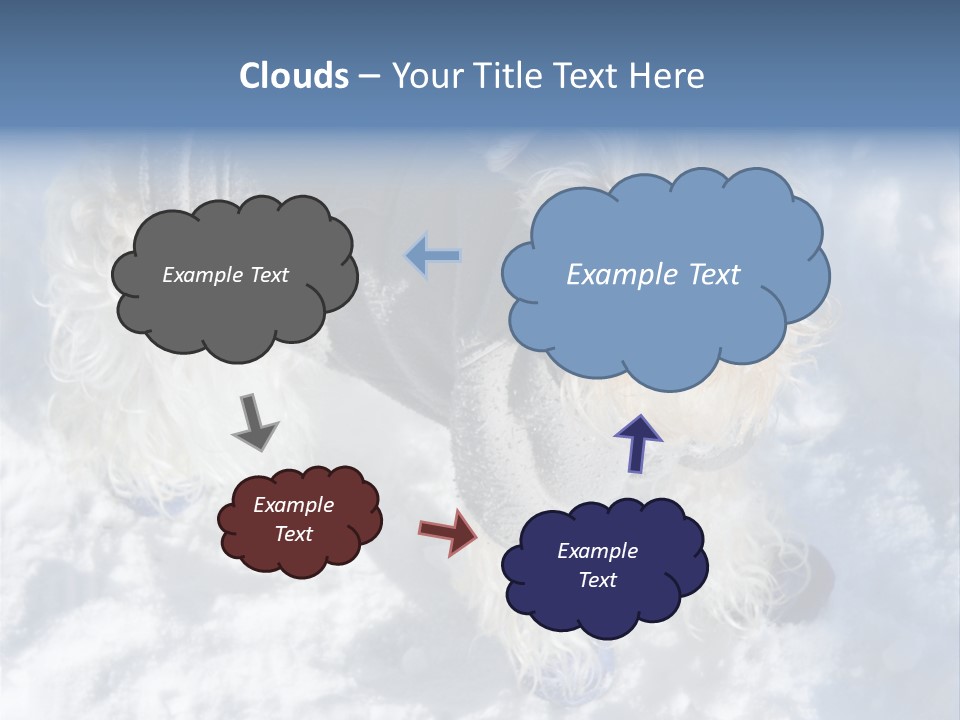 Schnauzer Ears Boot PowerPoint Template